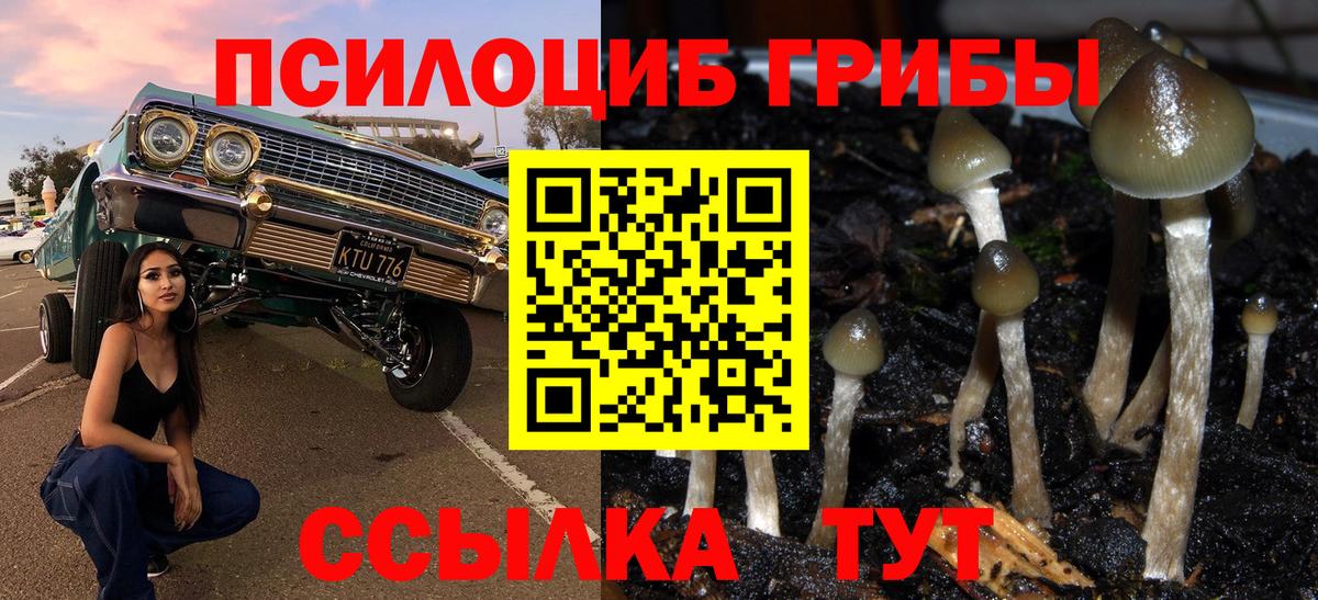 Галлюциногенные грибы мухоморы  Вход с VPN  Мариинск  Псилоцибиновые грибы Magic Shrooms 